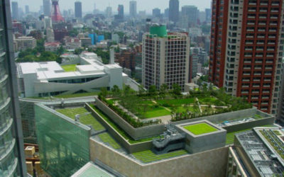 How to Comply with NYC’s Latest Green Roof Laws