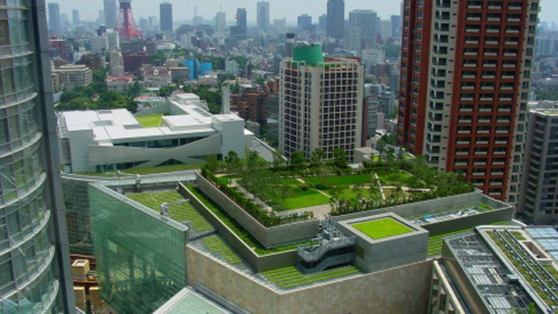 How to Comply with NYC’s Latest Green Roof Laws